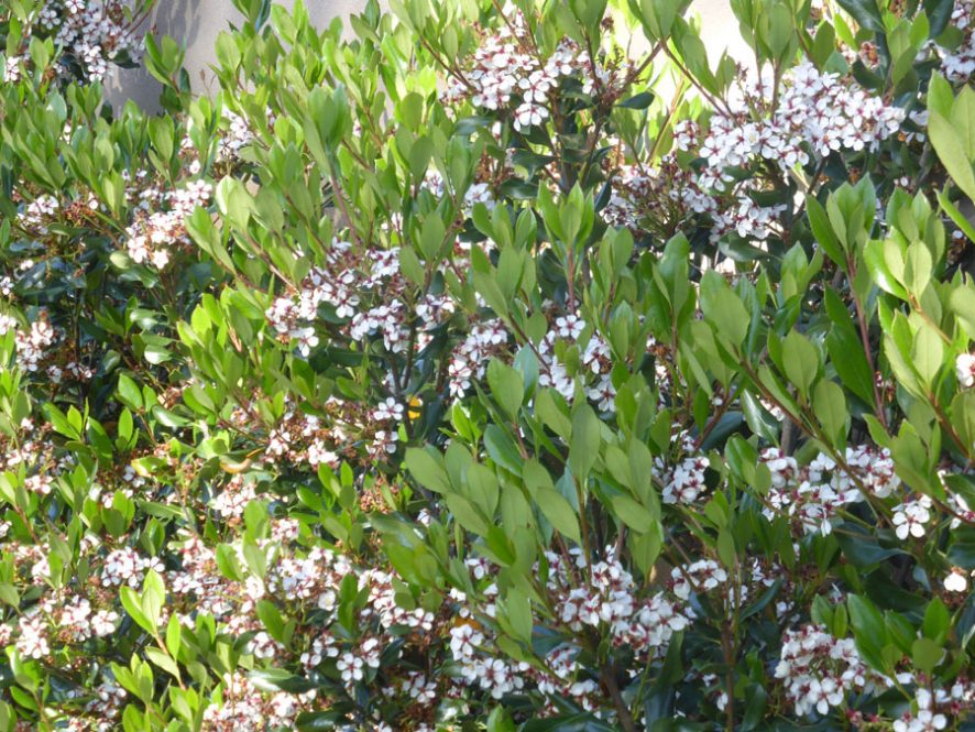 p1080072