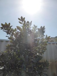 p1080089