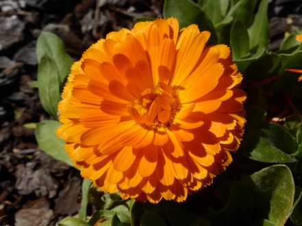 p1080121