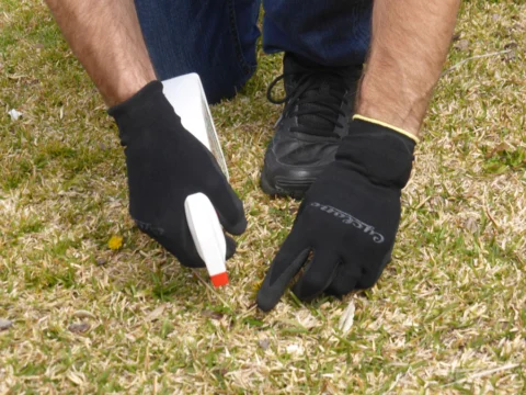 p1070797 Archival image from Richgro – Beat-A-Weed Natural Weedkiller