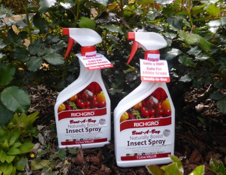 Richgro – Beat-A-Bug Insect Spray