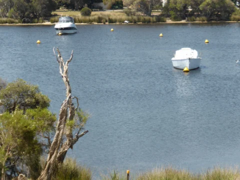 p1080342 Archival image from Scott’s Australia – Everydrop