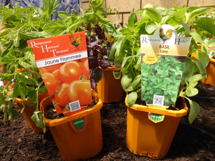 p1080582 Archival image from Holman Industries – Modular Raised Garden Beds & Digital Tap Timer