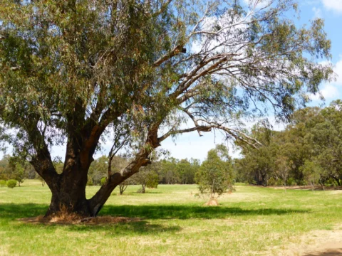p1080690 Archival image from Rosehill Waters – Part 1