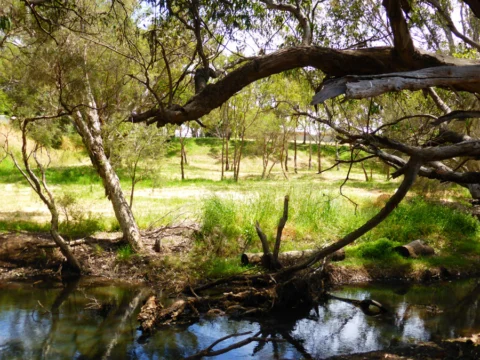 p1080691 Archival image from Rosehill Waters – Part 1