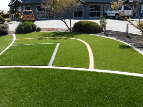 P1090151 Archival image from All Seasons Synthetic Turf