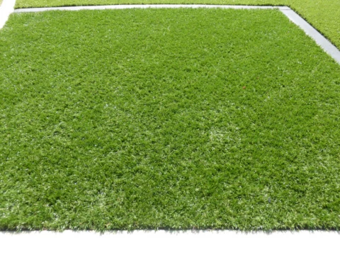 P1090155 Archival image from All Seasons Synthetic Turf