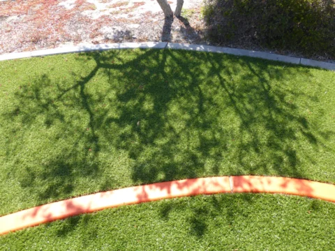 P1090158 Archival image from All Seasons Synthetic Turf