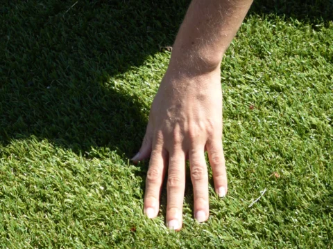 P1090161 Archival image from All Seasons Synthetic Turf