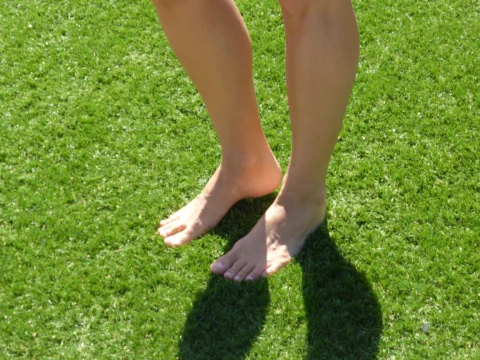 P1090162 Archival image from All Seasons Synthetic Turf