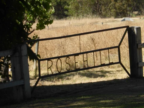 P1090300 Archival image from Rosehill Waters