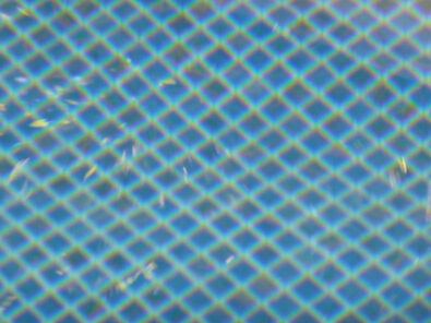P1100215 Archival image from Jubilee Pools & Landscaping