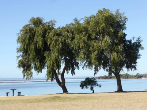 Archival image from The Retreat – Mandurah Quays