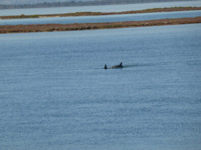 Archival image from The Retreat – Mandurah Quays