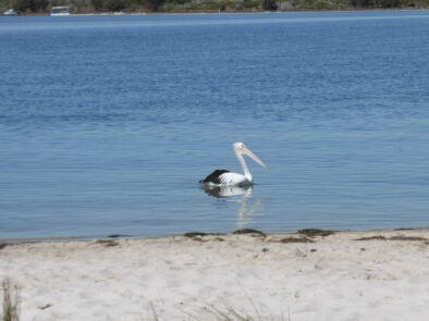 Archival image from The Retreat – Mandurah Quays