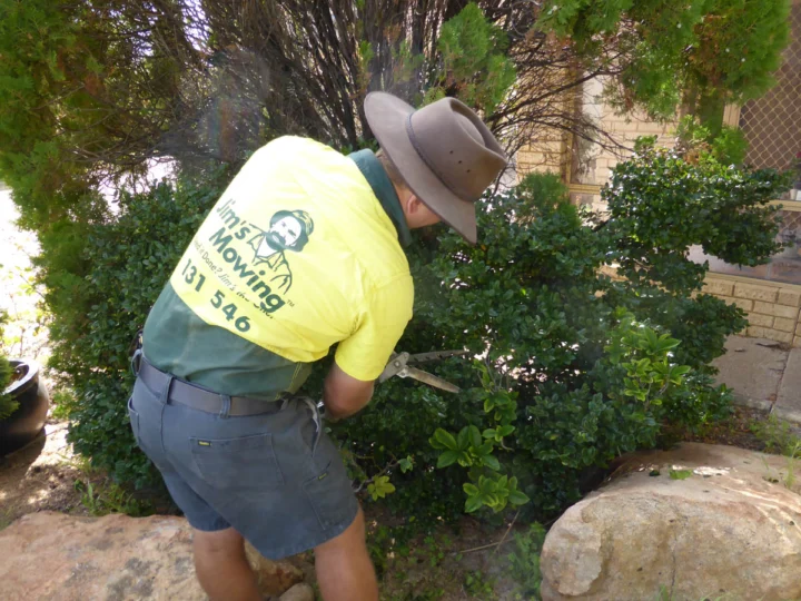 Archival image from Jim’s Mowing Number 1