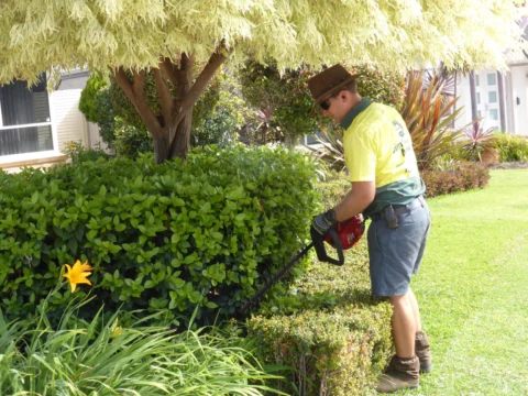 Archival image from Jim’s Mowing Number 1