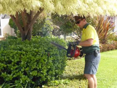 Archival image from Jim’s Mowing Number 1