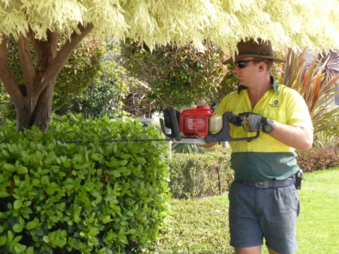 Archival image from Jim’s Mowing Number 1