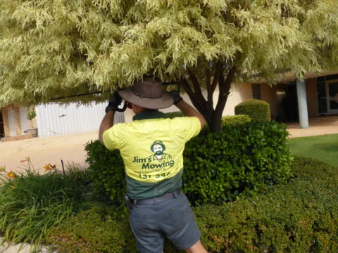 Archival image from Jim’s Mowing Number 1