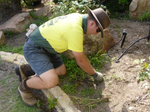 Archival image from Jim’s Mowing Number 14