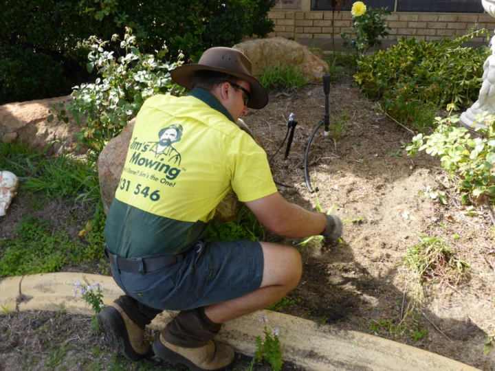 Archival image from Jim’s Mowing Number 14