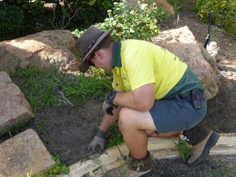 Archival image from Jim’s Mowing Number 1