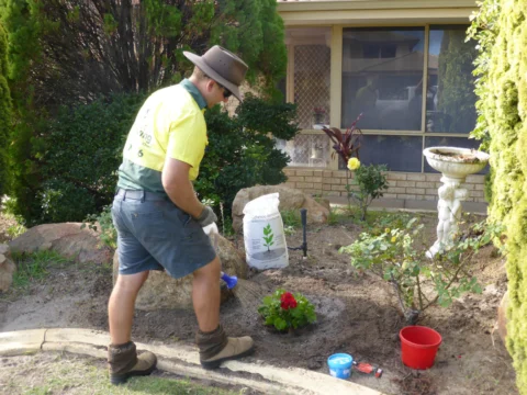 Archival image from Jim’s Mowing Number 1
