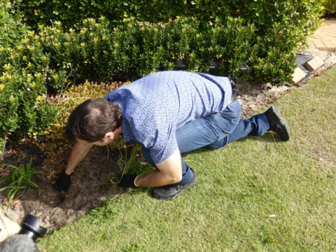Archival image from Jim’s Mowing Number 1