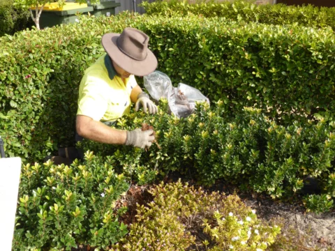 Archival image from Jim’s Mowing Number 14