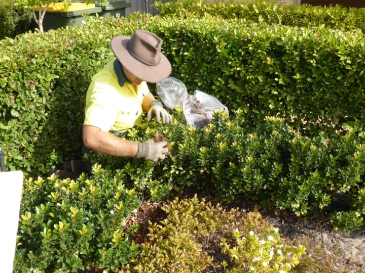 Archival image from Jim’s Mowing Number 1