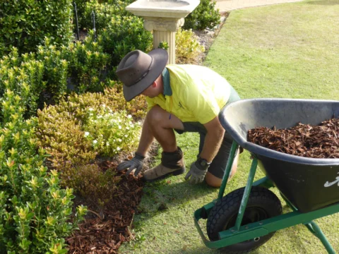 Archival image from Jim’s Mowing Number 1