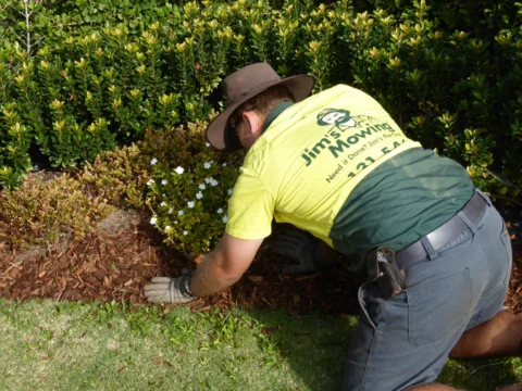 Archival image from Jim’s Mowing Number 1