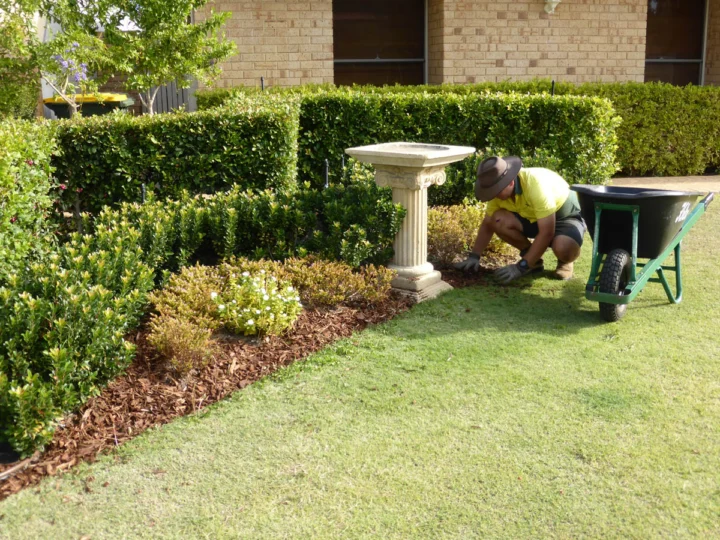 Archival image from Jim’s Mowing Number 1