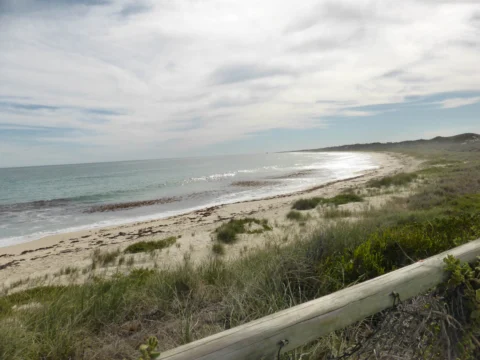 P1100571 Archival image from Capricorn Beach