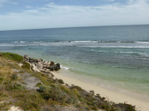 P1100575 Archival image from Capricorn Beach