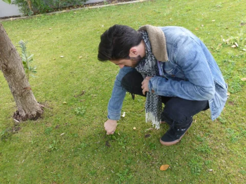 Archival image from Jim’s Mowing – Managing Weeds