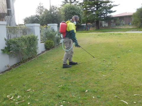 Archival image from Jim’s Mowing – Managing Weeds