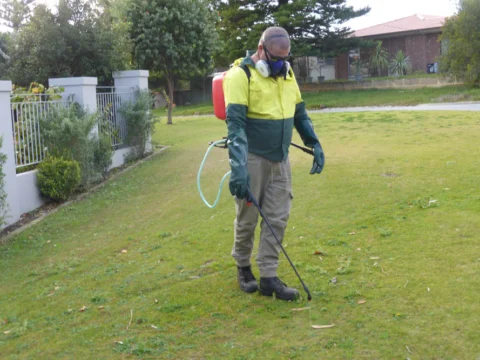 Archival image from Jim’s Mowing – Managing Weeds