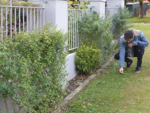 Archival image from Jim’s Mowing – Managing Weeds