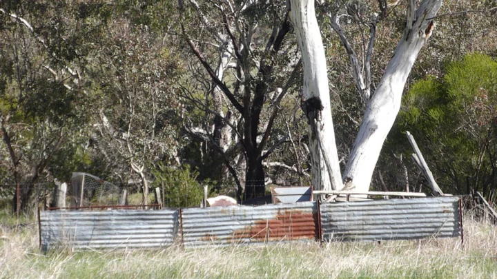 P1110920 Archival image from Wandoo Valley Estate – Mark Hay Realty Group