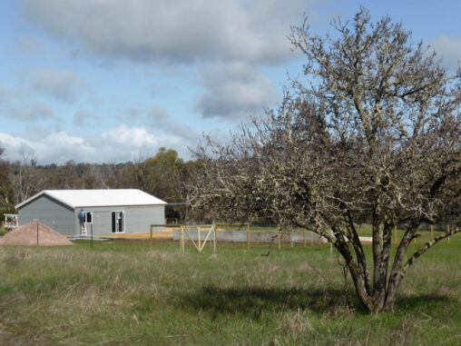 P1110922 Archival image from Wandoo Valley Estate – Mark Hay Realty Group