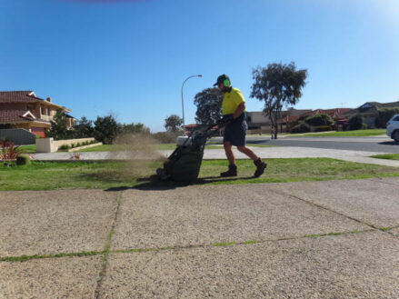 DSC01722 Archival image from Jim’s Mowing Number 13