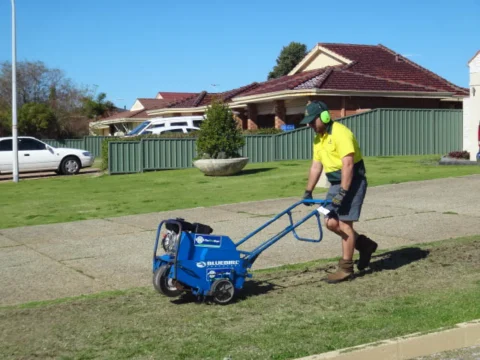 DSC01728 Archival image from Jim’s Mowing Number 13