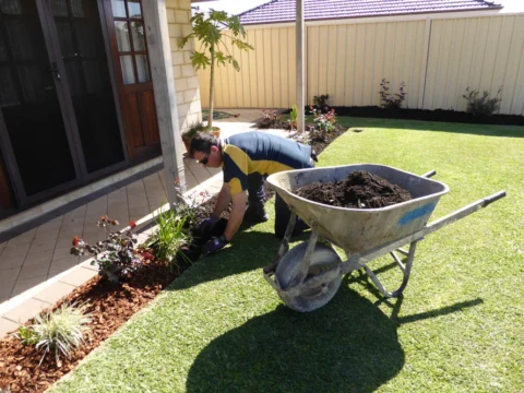 P1110993 Archival image from Slab & Garden City – Mulching