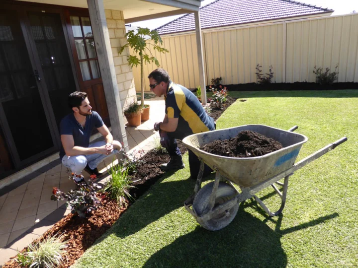 P1110994 Archival image from Slab & Garden City – Mulching