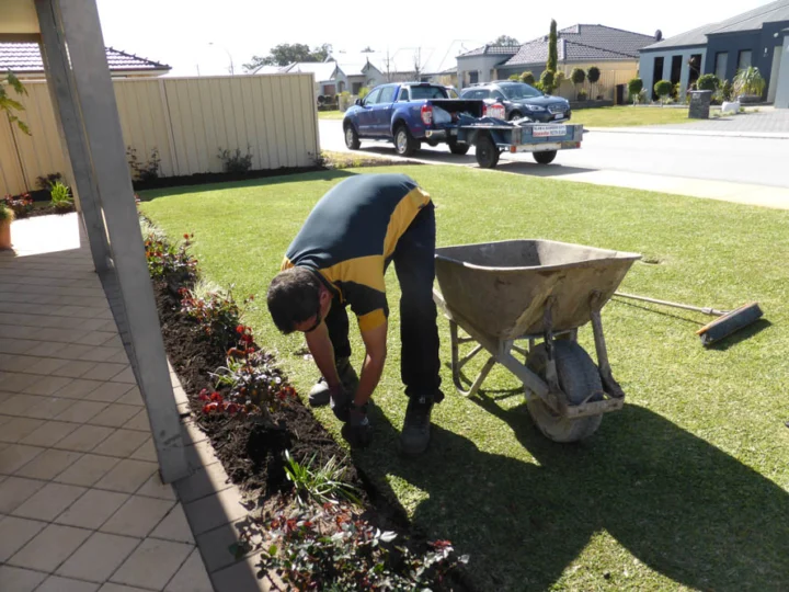 P1110999 Archival image from Slab & Garden City – Mulching