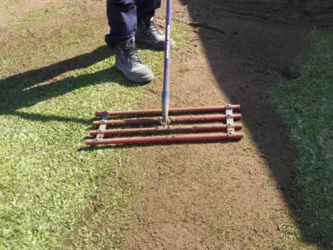 P1120021 Archival image from Slab & Garden City – Topdressing