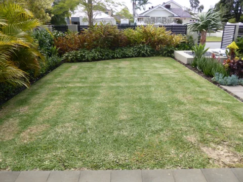 P1120334 Archival image from Scotts Australia – Lawn Fertiliser