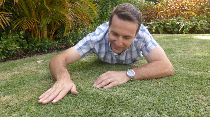 Scotts Australia – Lawn Fertiliser